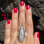 Natural orthoceras fossil ring .925 sterling silver