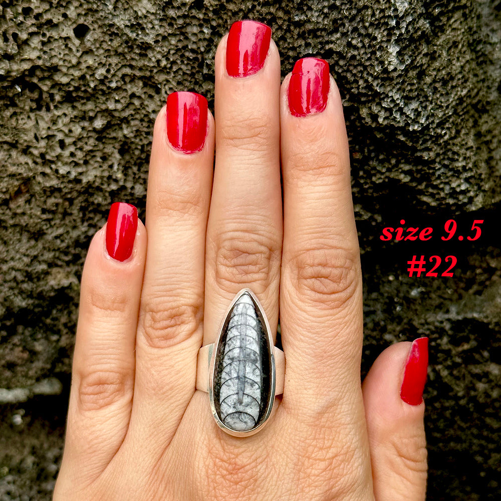 Natural orthoceras fossil ring .925 sterling silver