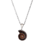 Mini Ammonite Fossil Necklace