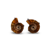 Mini Ammonite Fossil Studs