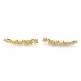 Crystal Stars Climber Set - Gold