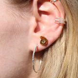 Mini Ammonite Fossil Studs