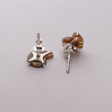 Mini Ammonite Fossil Studs