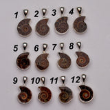 Mini Ammonite Fossil Necklace