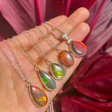 Small Ammolite Fossil Necklace