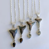 Shark Tooth Fossil Necklace