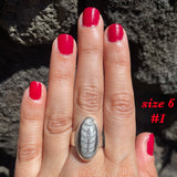 Natural orthoceras fossil ring .925 sterling silver