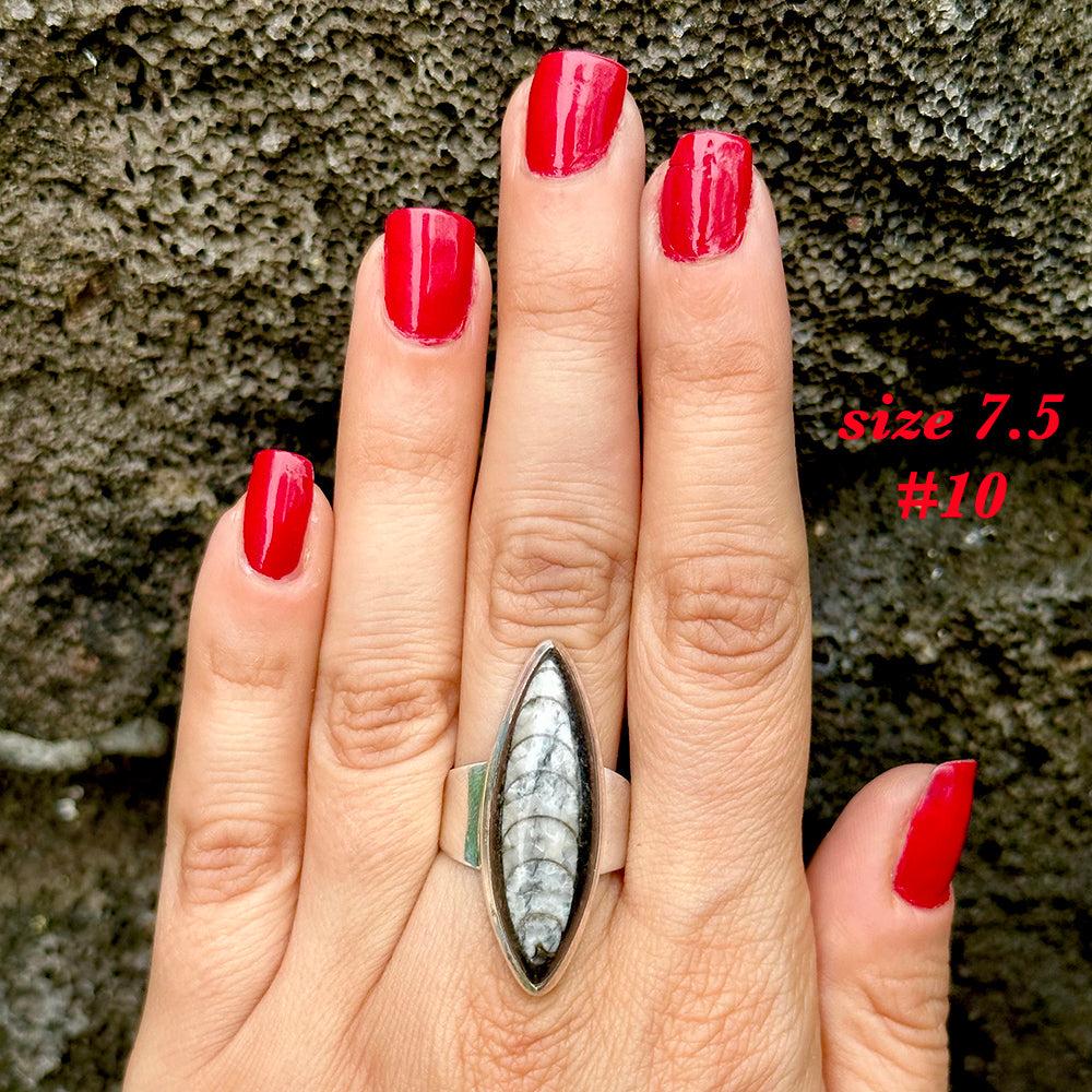 Natural orthoceras fossil ring .925 sterling silver