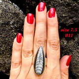 Natural orthoceras fossil ring .925 sterling silver