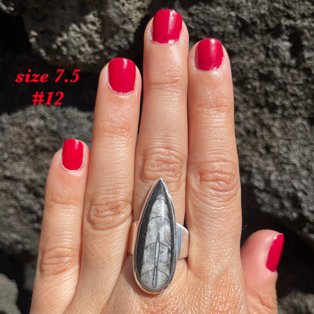 Natural orthoceras fossil ring .925 sterling silver