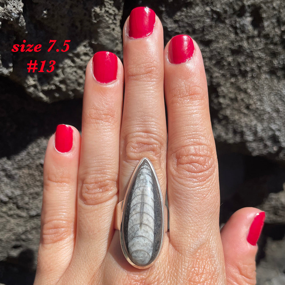 Natural orthoceras fossil ring .925 sterling silver