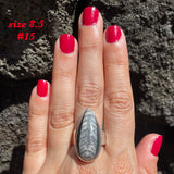 Natural orthoceras fossil ring .925 sterling silver