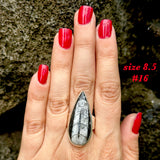 Natural orthoceras fossil ring .925 sterling silver