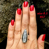 Natural orthoceras fossil ring .925 sterling silver