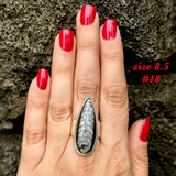 Natural orthoceras fossil ring .925 sterling silver