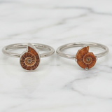 Mini Ammonite Fossil Ring