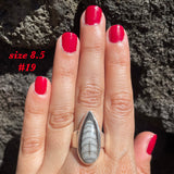 Natural orthoceras fossil ring .925 sterling silver