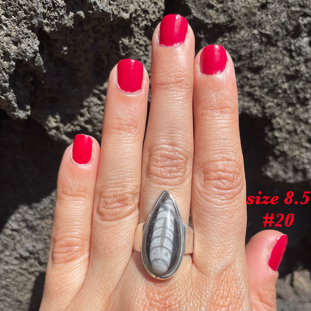 Natural orthoceras fossil ring .925 sterling silver