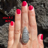 Natural orthoceras fossil ring .925 sterling silver