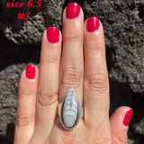 Natural orthoceras fossil ring .925 sterling silver