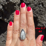 Natural orthoceras fossil ring .925 sterling silver