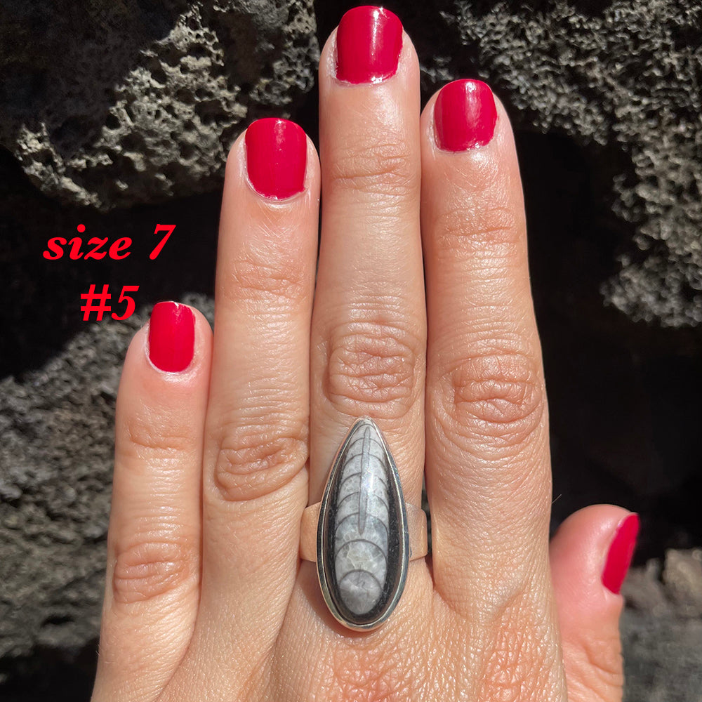 Natural orthoceras fossil ring .925 sterling silver