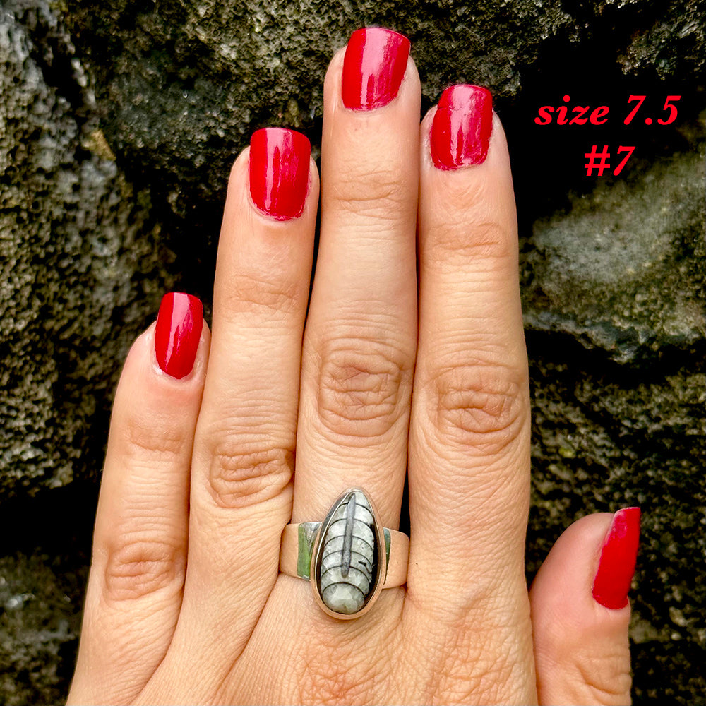 Natural orthoceras fossil ring .925 sterling silver