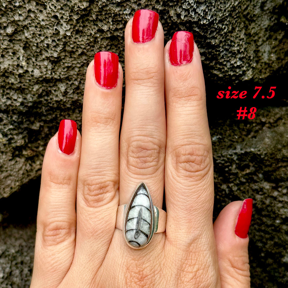 Natural orthoceras fossil ring .925 sterling silver