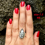 Natural orthoceras fossil ring .925 sterling silver