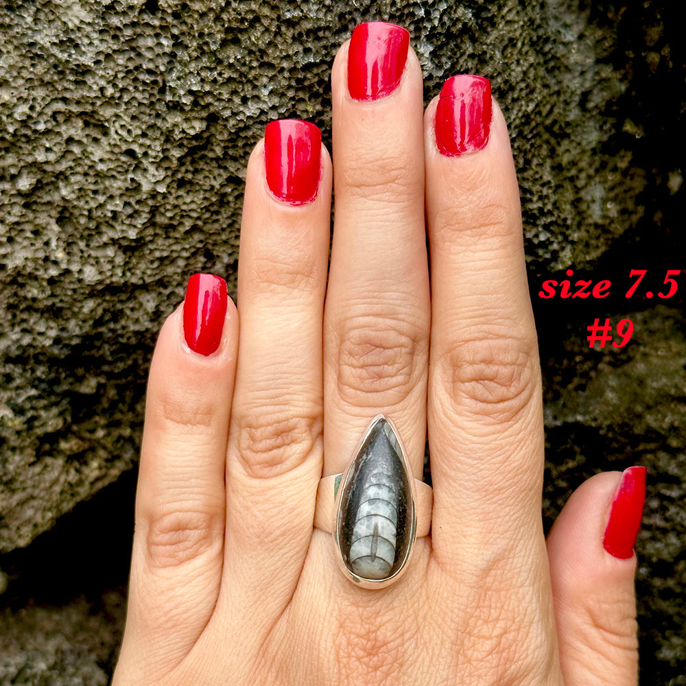 Natural orthoceras fossil ring .925 sterling silver