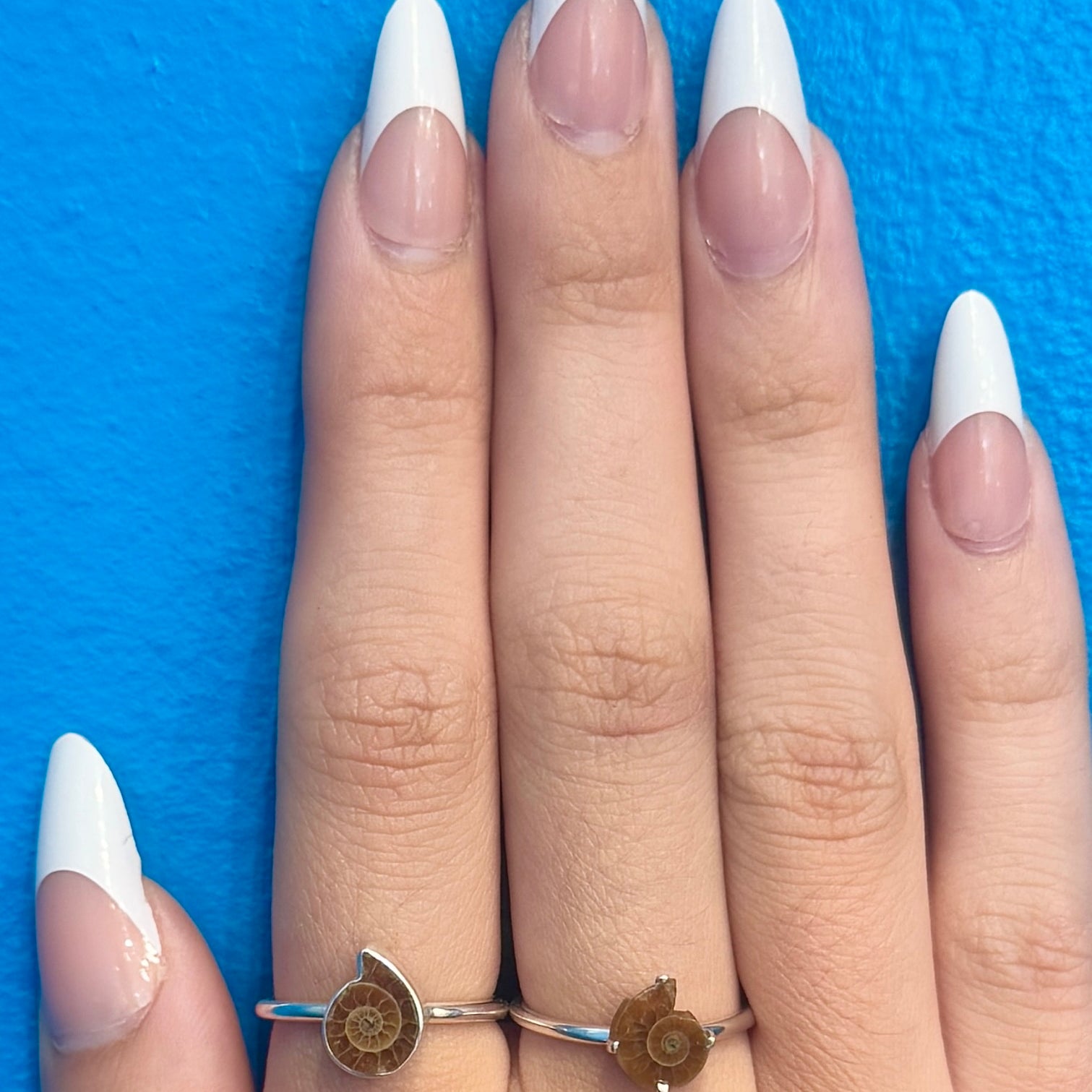 Mini Ammonite Fossil Ring