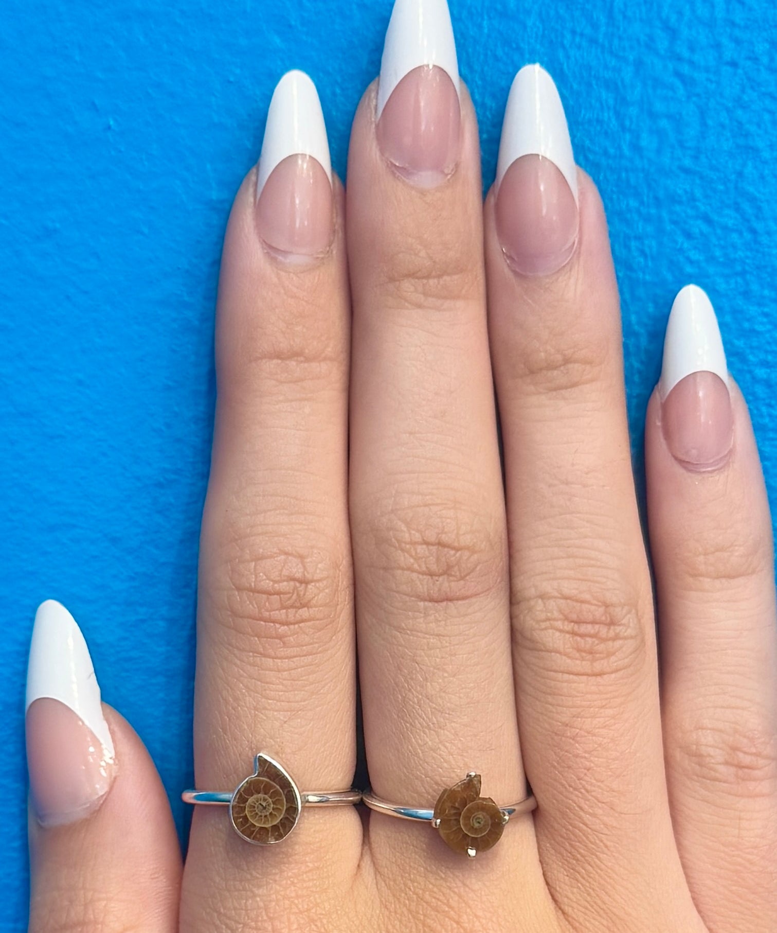 Mini Ammonite Fossil Ring