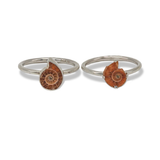 Mini Ammonite Fossil Ring