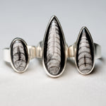 Natural orthoceras fossil ring .925 sterling silver