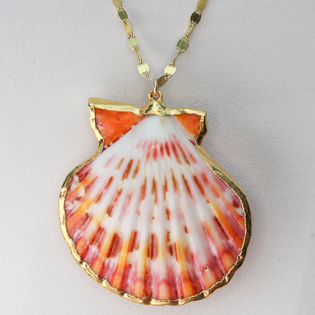 Tropicana Clam Shell Necklace