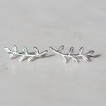 leaf climber earrings 14k gold plated 925 sterling silver